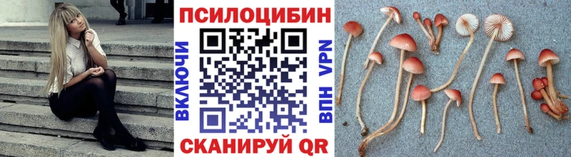 кракен сайт  Севастополь  Псилоцибиновые грибы Cubensis  купить закладку 